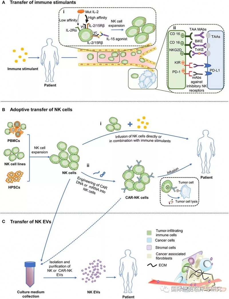 各种基于NK细胞的免疫治疗方法